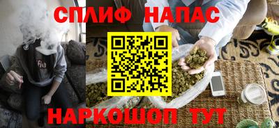 мдпв Гатчина
