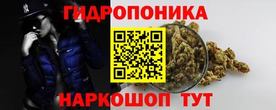 мдпв Гатчина