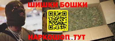 мдпв Гатчина