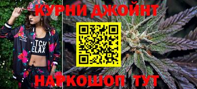 мдпв Гатчина