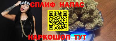 мдпв Гатчина