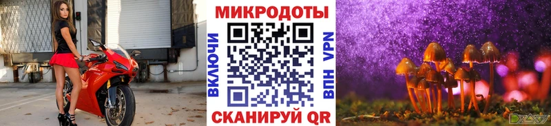 цена наркотик  Пыть-Ях  Галлюциногенные грибы прущие грибы 