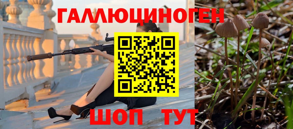 Псилоцибиновые грибы мухоморы  Вход с VPN  Пыть-Ях  Псилоцибиновые грибы Psilocybine cubensis 