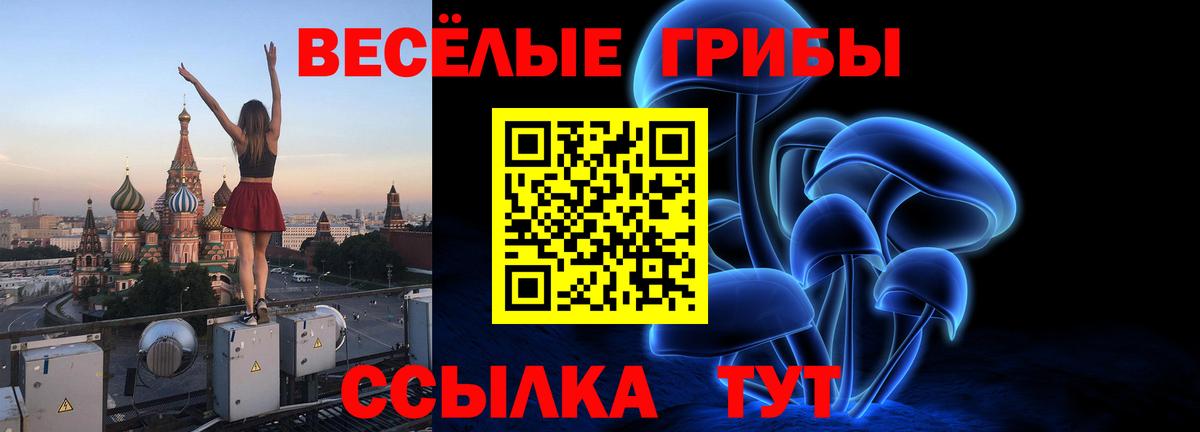 Галлюциногенные грибы Psilocybe Пыть-Ях